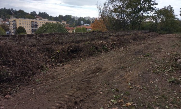 Défrichage et dessouchage d'arbre à L'Arbresle