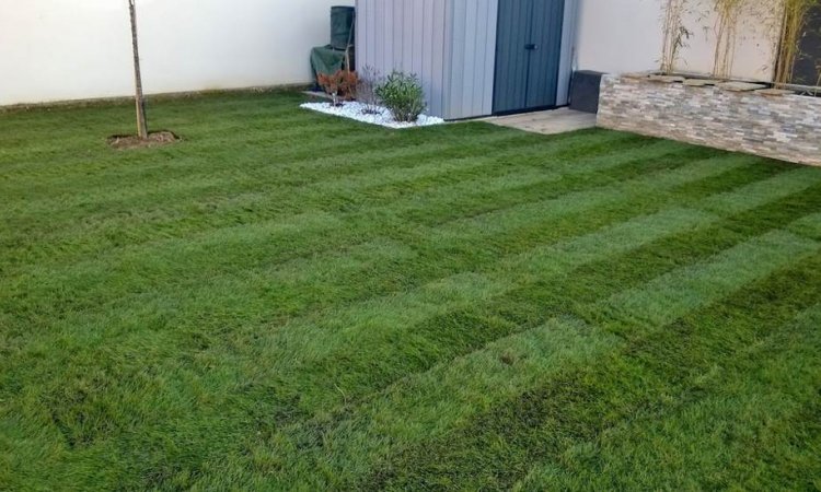 Pose de gazon - L'Arbresle - Buisson Entretien Création